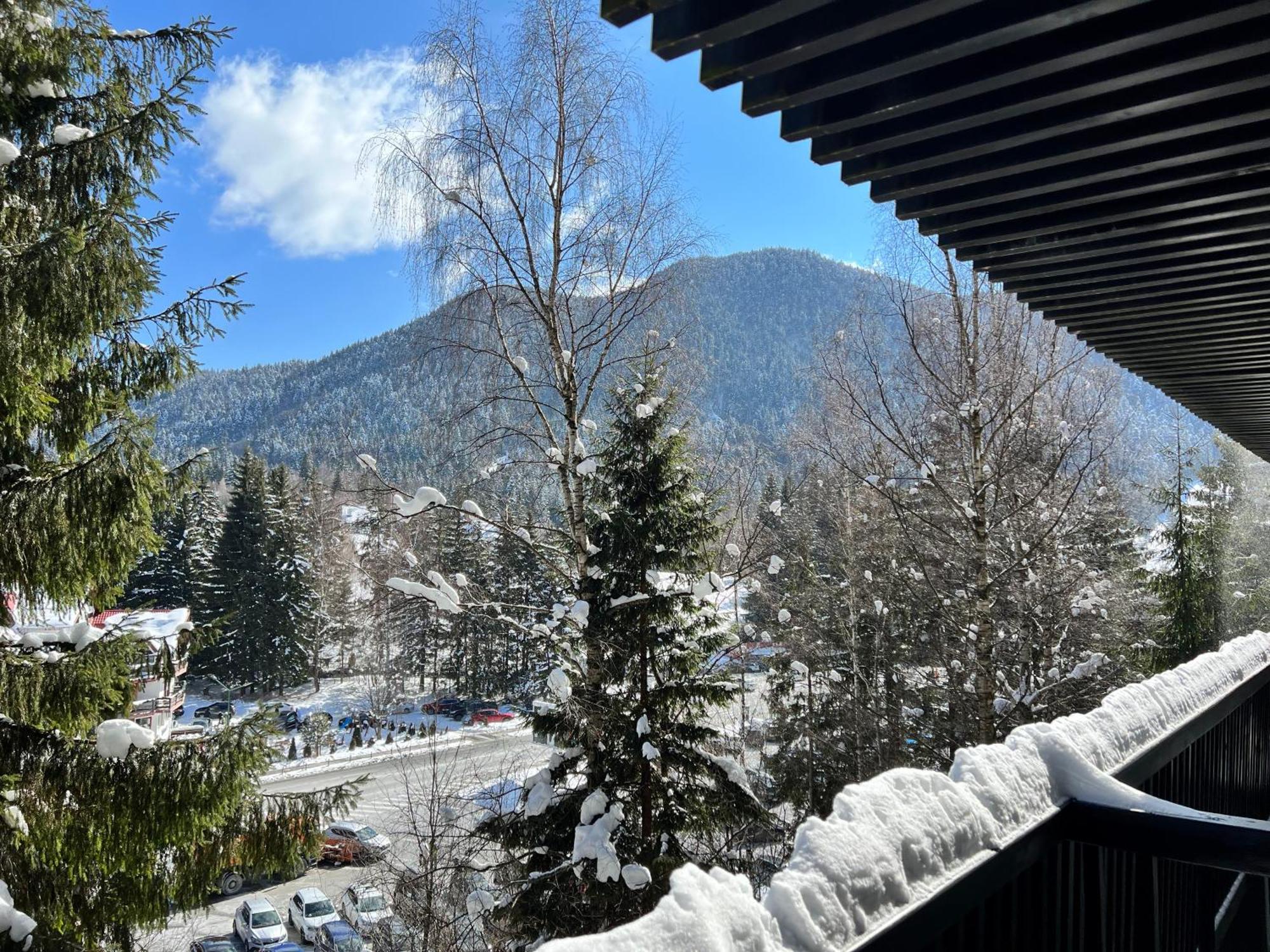 Apartment 2305 Hotel Alpin Poiana Brasov Eksteriør bilde